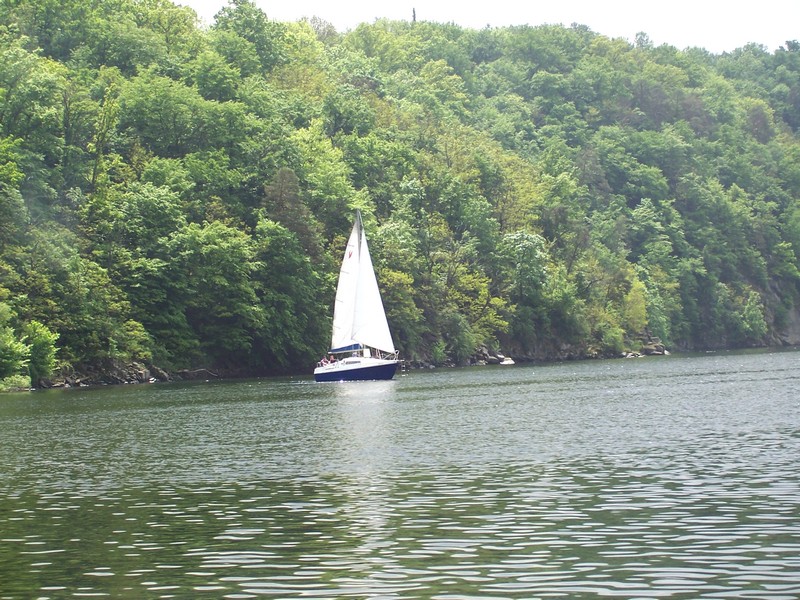 100_5453.JPG